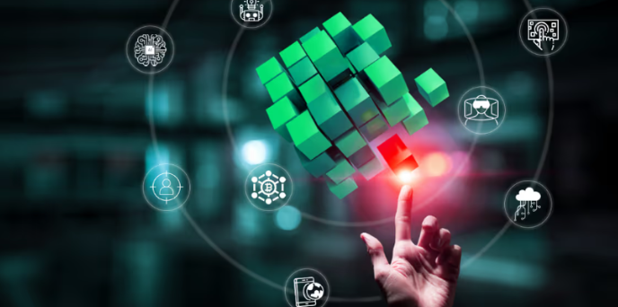 Visualização do Certificado