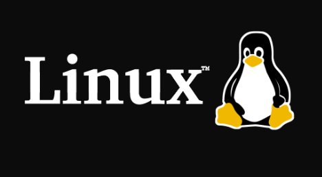 Visualização do Certificado