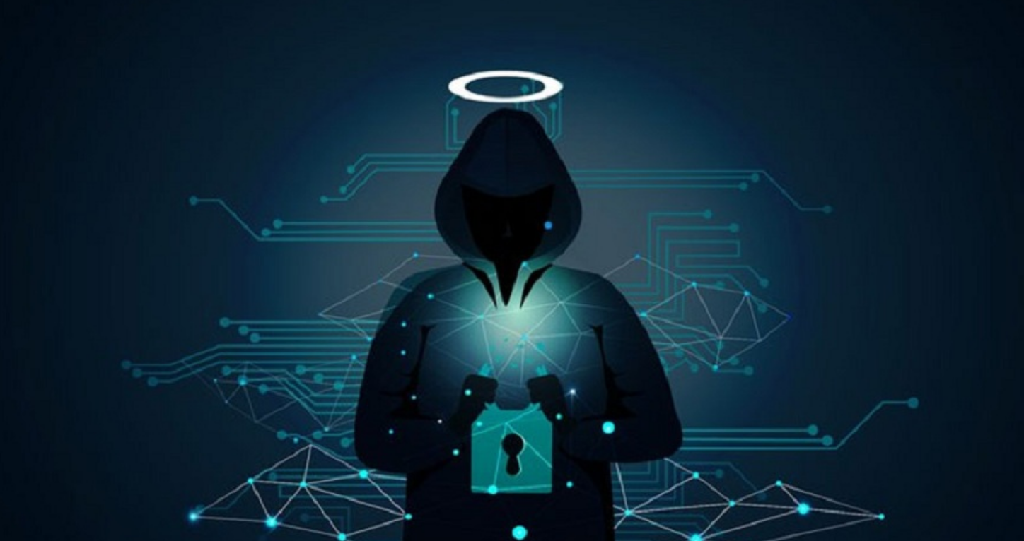 Visualização do Certificado